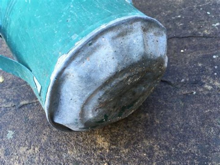 Are metal watering cans bad?