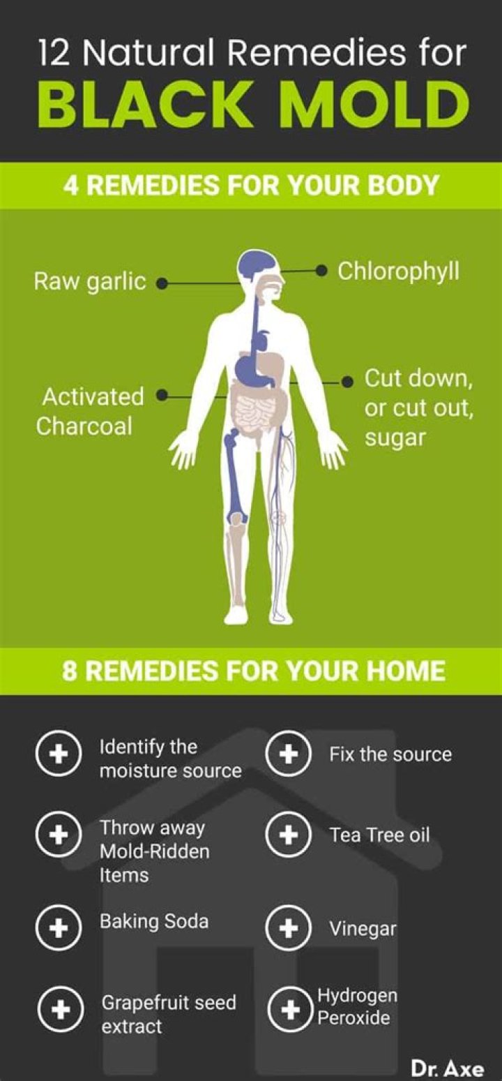 Can black mold make you feel fatigued?