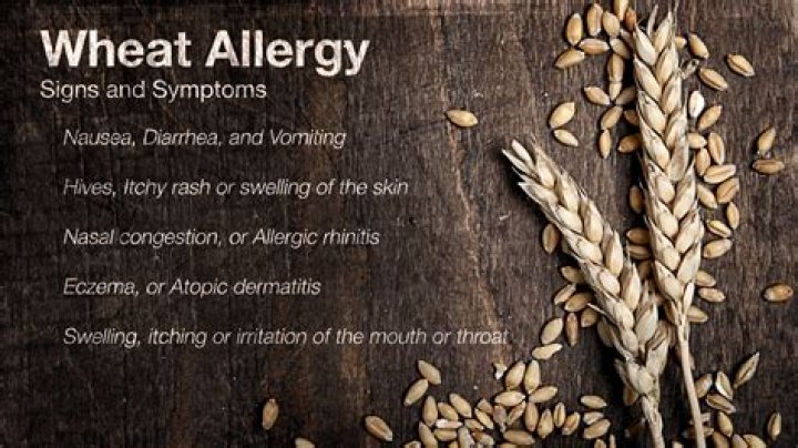 Can you be allergic to rye but not wheat?