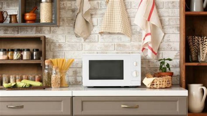 Can you put a wet rag in the microwave?