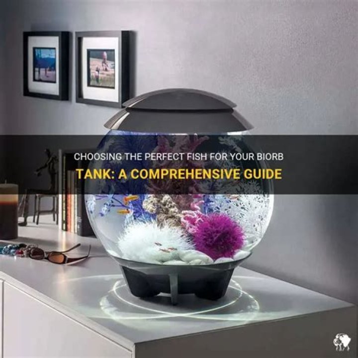 Can you put tropical fish in a biorb?