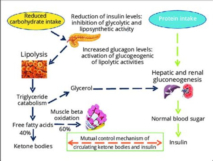 Does lemon affect ketosis?