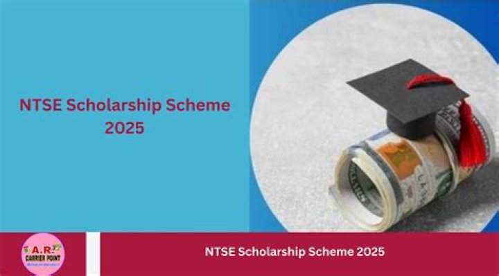 Does NTSE provide scholarship?
