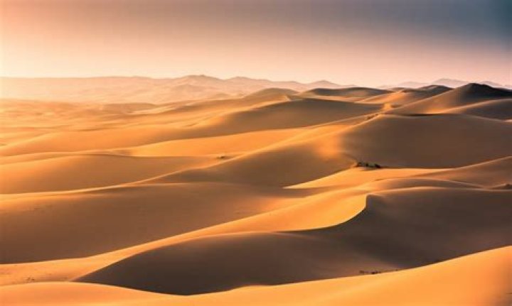 Does the Sahara desert have dunes?