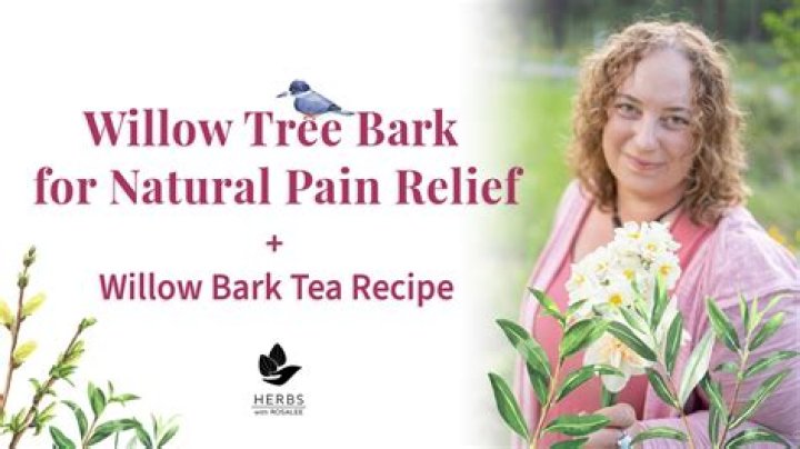 Does Willow Bark help with headaches?