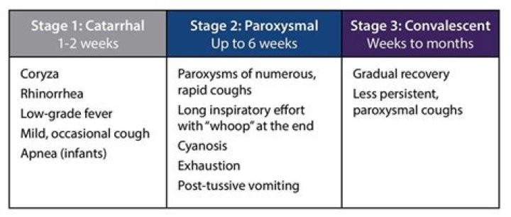 How common is pertussis 2020?