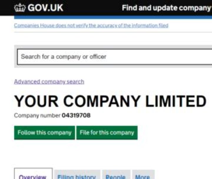 How do I find my company registration number Singapore?