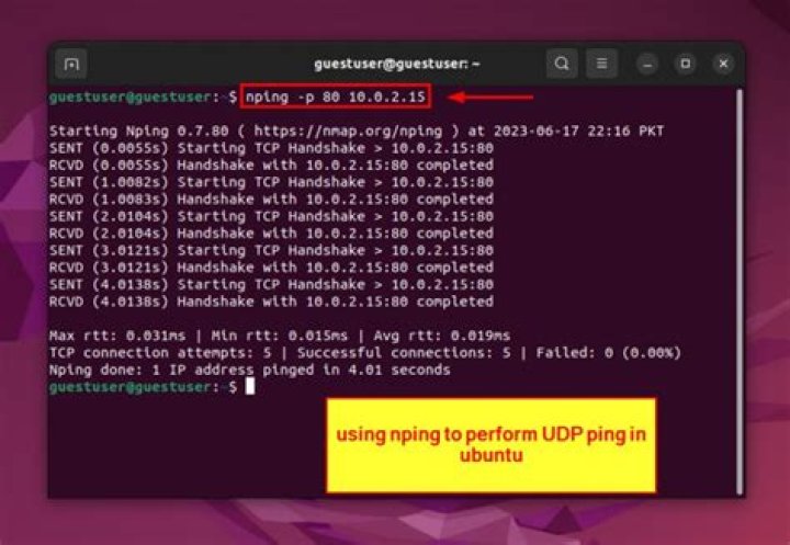 How do I ping UDP port?