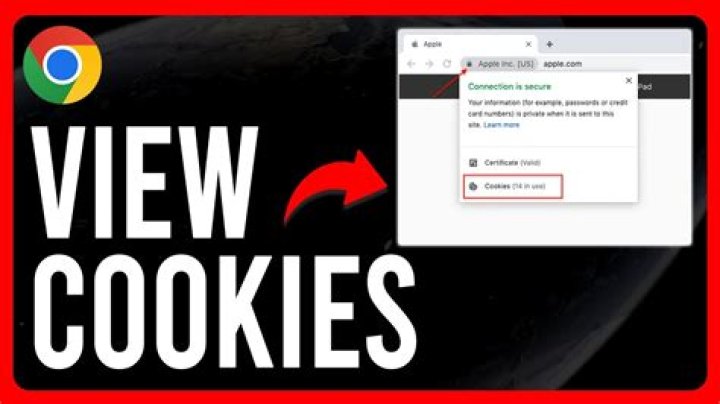 How do I view cookies in Chrome developer tools?