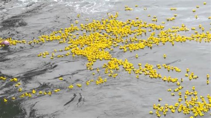 How do rubber ducks float?