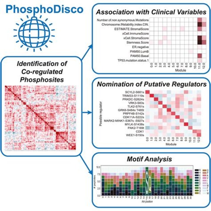How do you Analyse Phosphoproteomic data?
