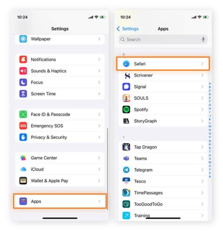 How do you delete search history on ipod touch?