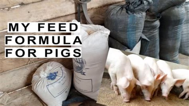 How do you formulate feed a pig?