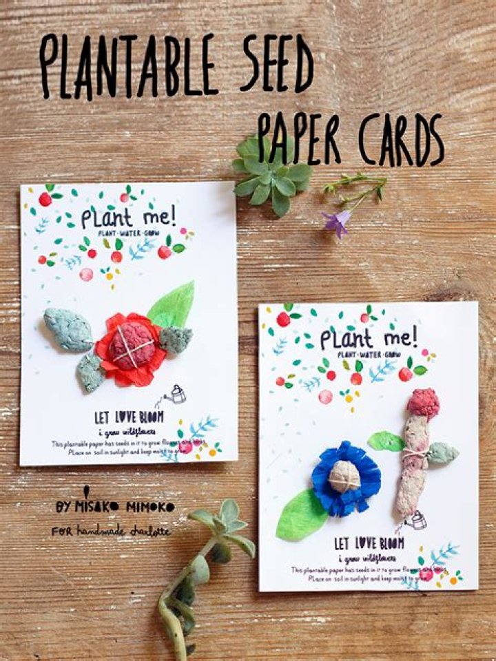 How do you make a plantable paper?
