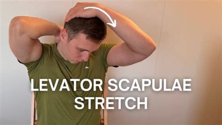 How do you stretch the levator scapulae?