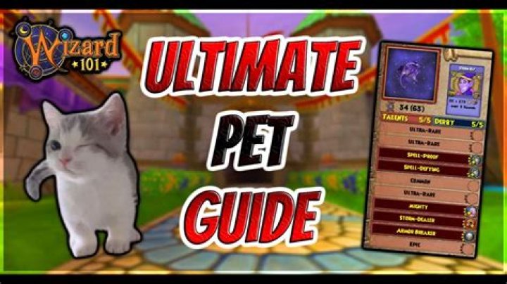 How do you upgrade your pet in wizard101?