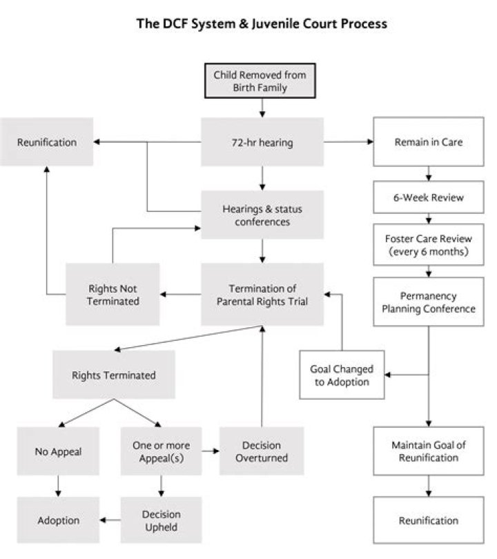 How does a court trial work in Canada?