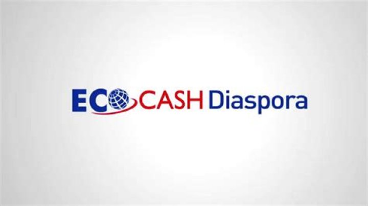How does EcoCash diaspora work?