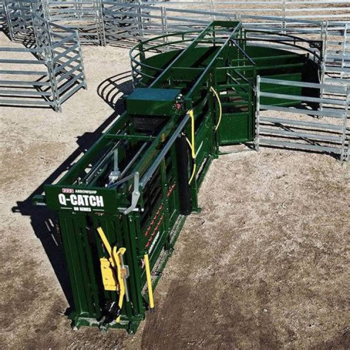 How high should cattle chutes be?