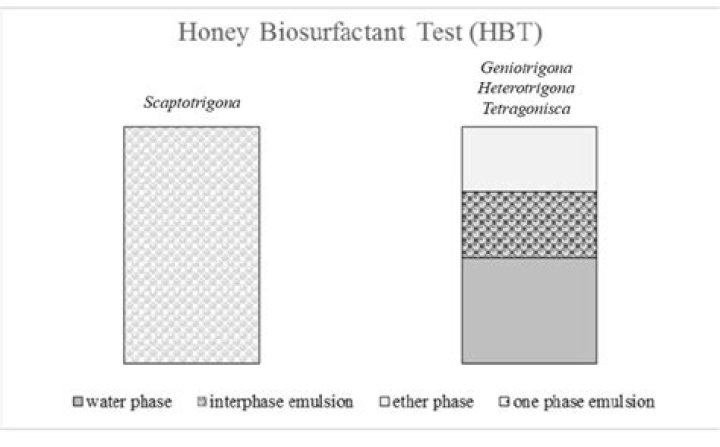 How is HBT test done?