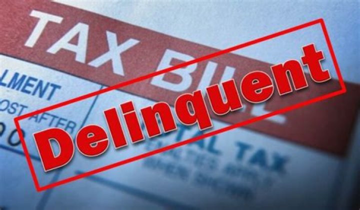 How long can you be delinquent on property taxes in Michigan?