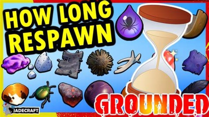 How long does it take for rares to Respawn?