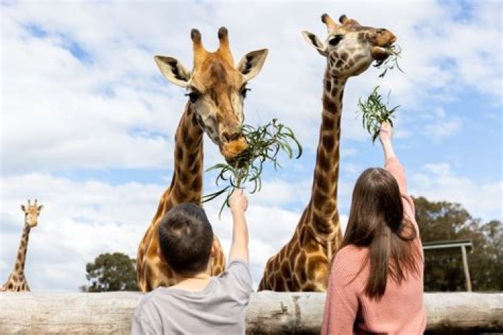 How long does it take to go through Hunter Valley Zoo?