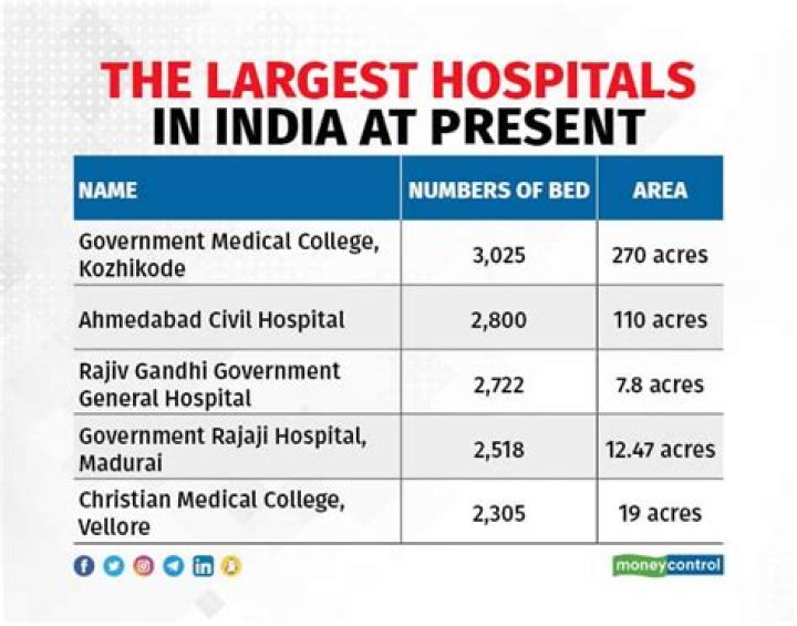 How many public hospitals are there in India?