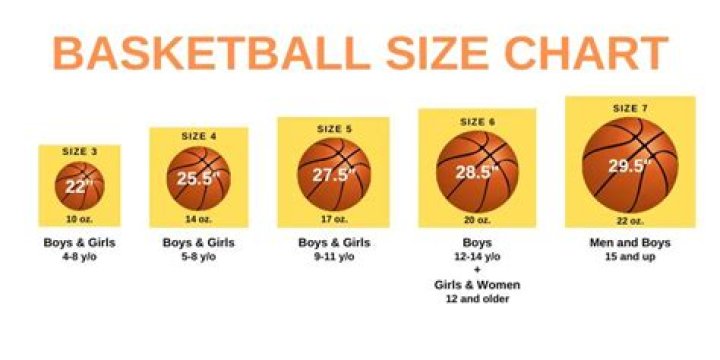How much do girls basketballs cost?