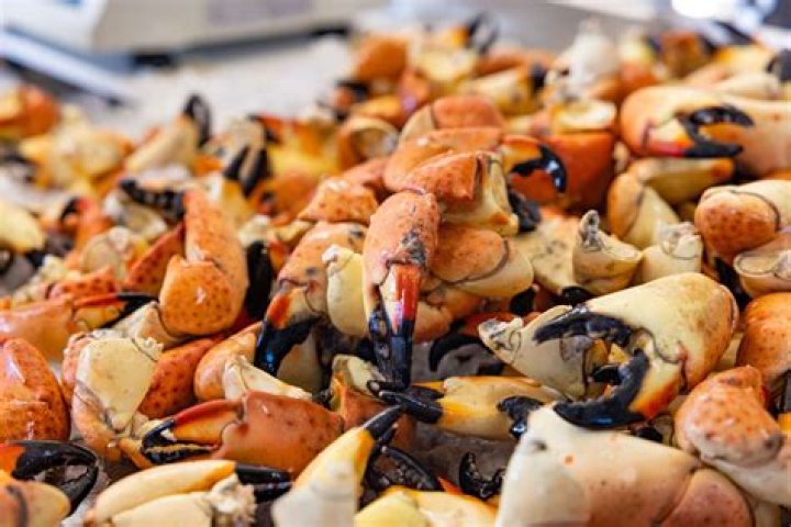 How much is stone crab per pound in Florida?