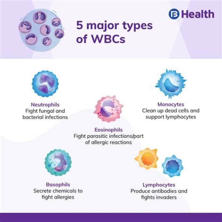 Is 5000 a low WBC?