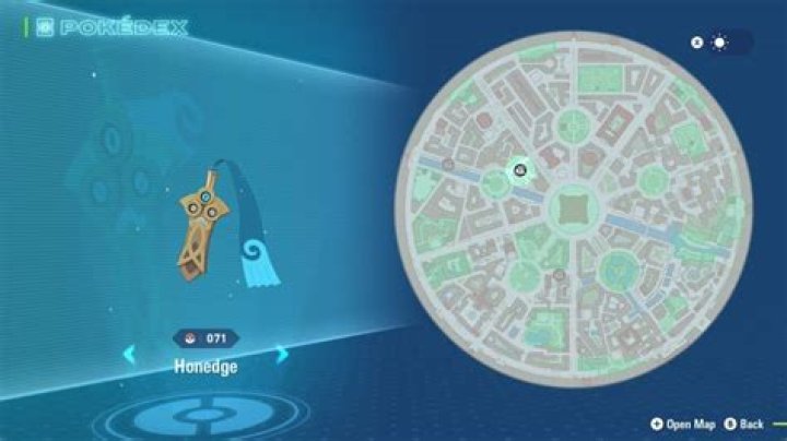 Is a Honedge rare?