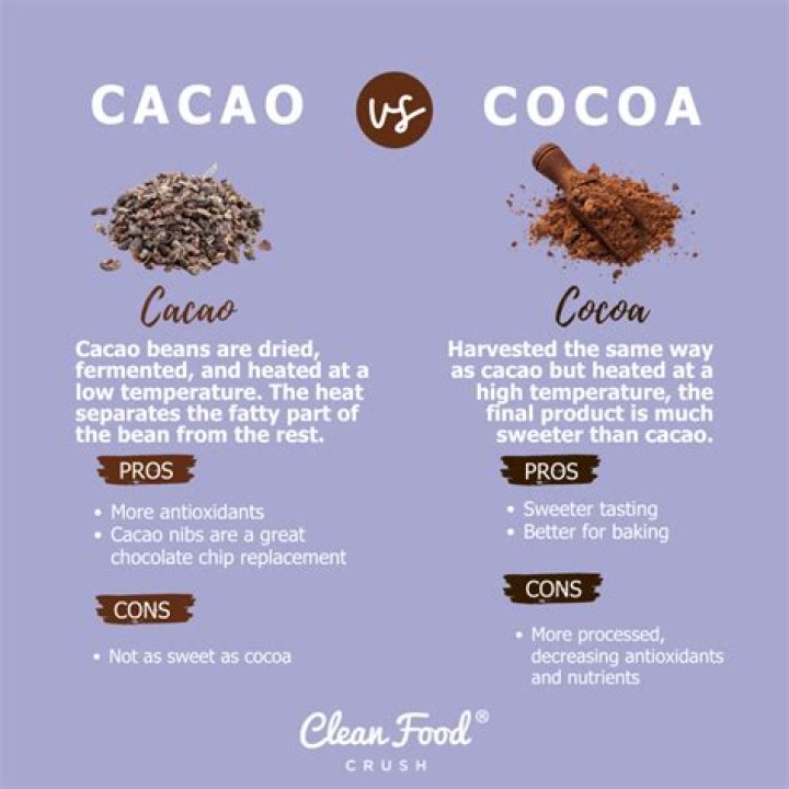 Is cocoa the same as hot chocolate?