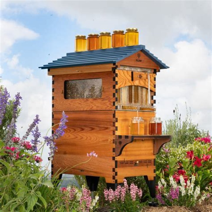 Is Flow Hive Australia?