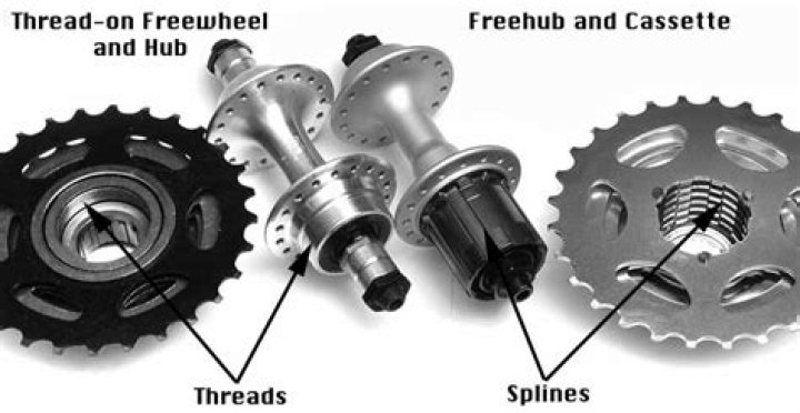 Is freewheel the same as single speed?