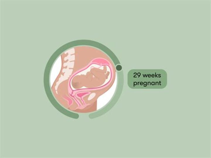 Is it normal to be exhausted at 29 weeks pregnant?