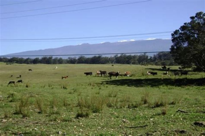 Is Kamuela a nice place to live?