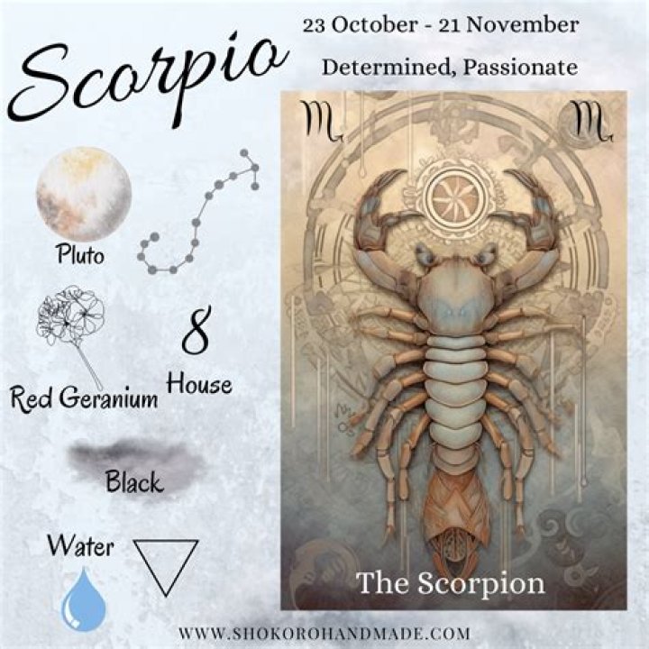Is Scorpio automatic good?