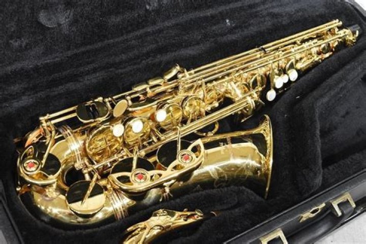 Is Yanagisawa a good brand?