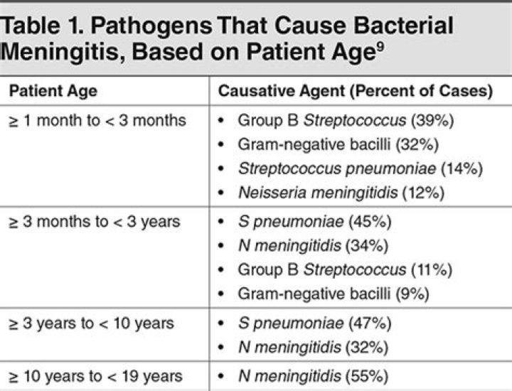 What age group gets meningitis the most?