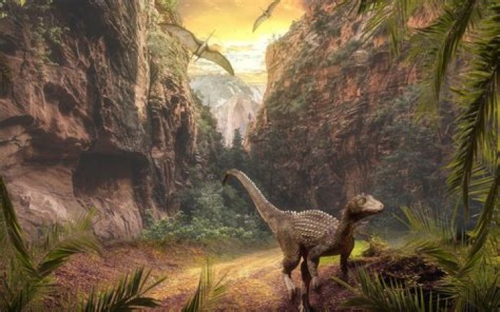 What are bird-hipped dinosaurs called?