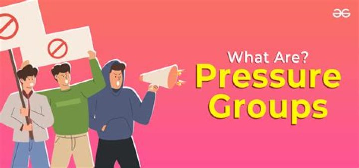 What are examples of pressure groups?