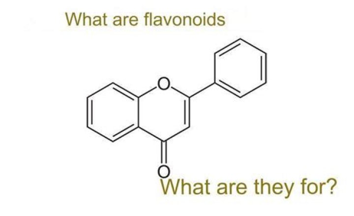 What are flavonoids used for?