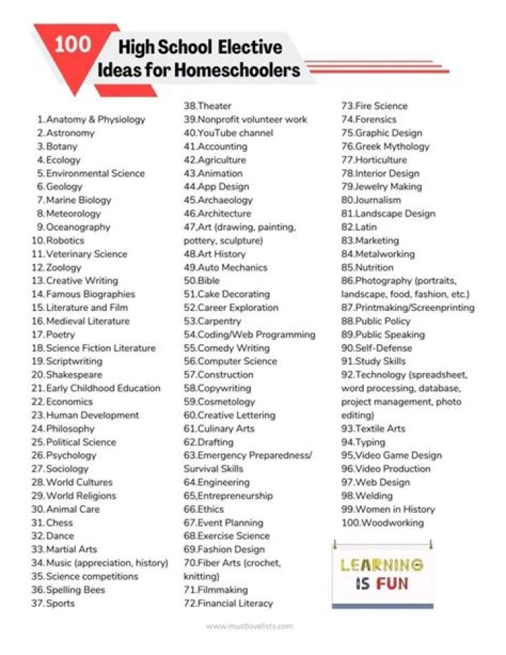 What are HSS electives?
