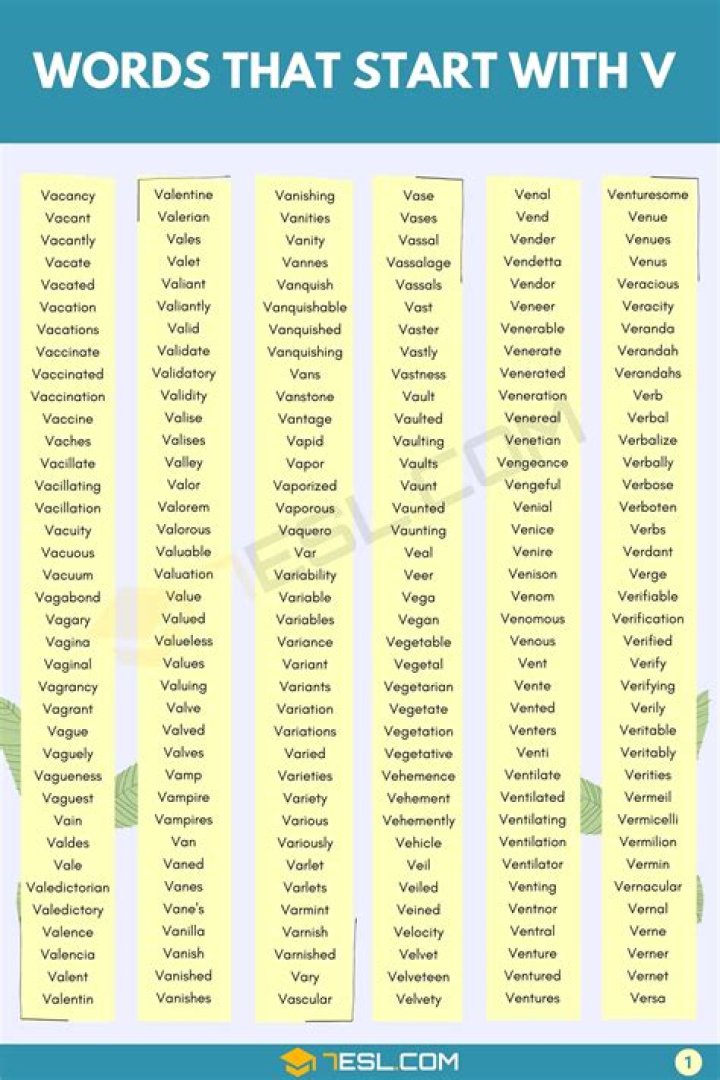 What are some V words?