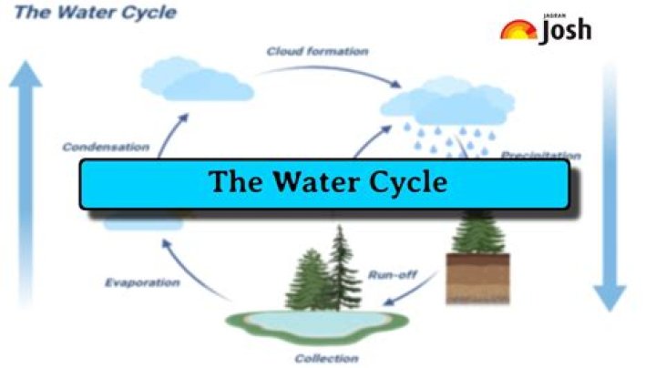 What are the 7 steps of water cycle?