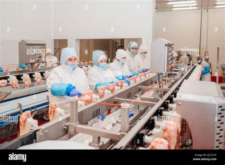 What are the different meat processing?