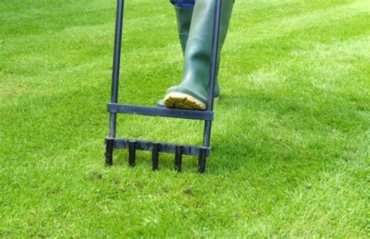 What are the different types of lawn aerators?