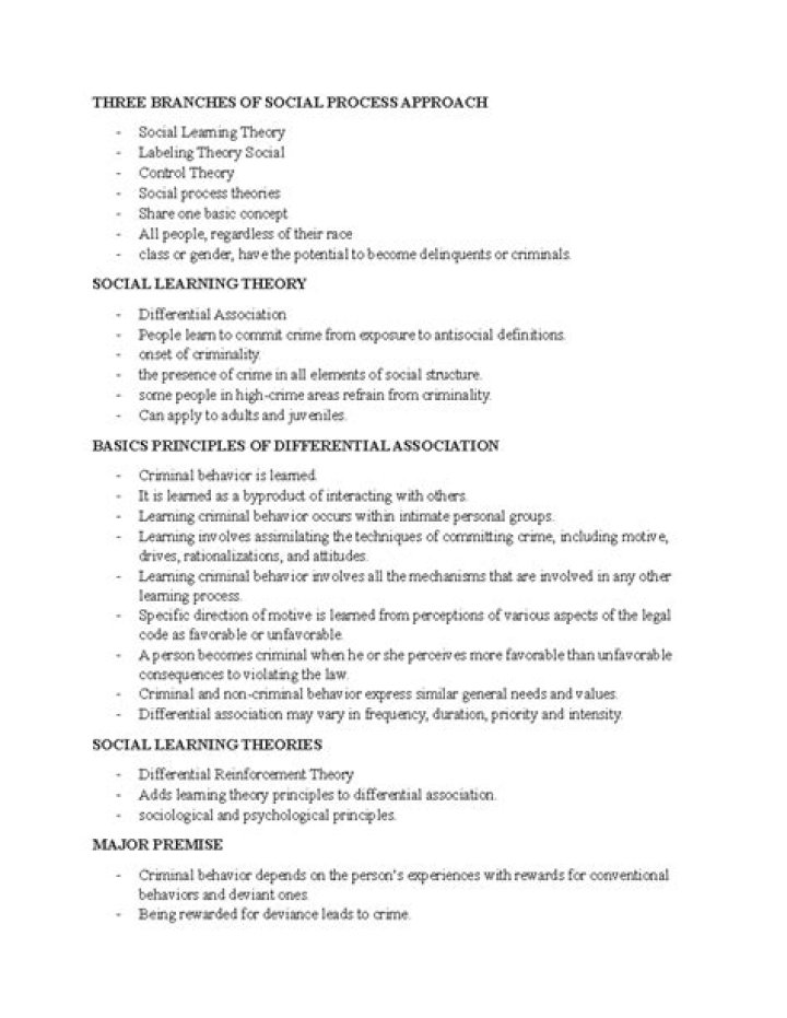 What are the three branches of social process theory?