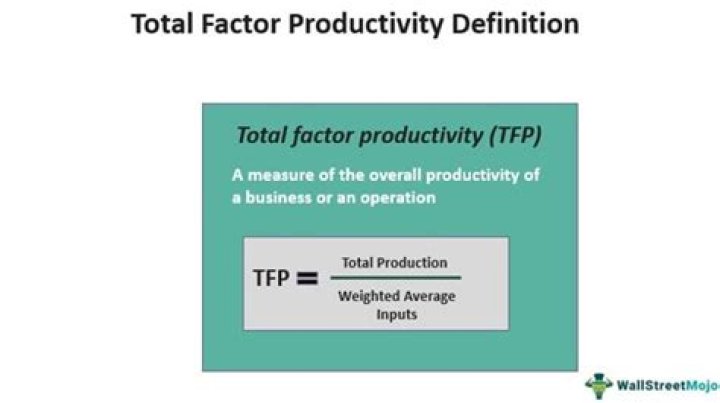 What are the three sources of total factor productivity?